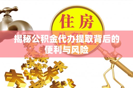 凌海揭秘公积金代办提取背后的便利与风险
