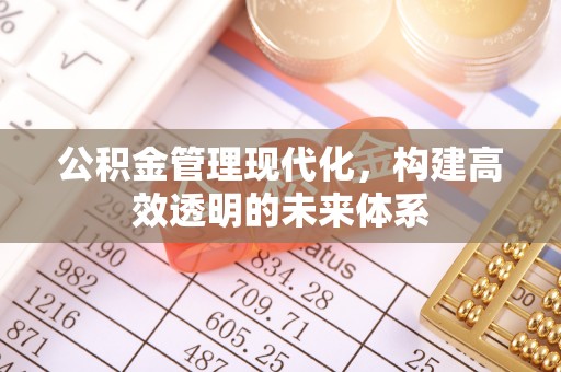 凌海公积金管理现代化，构建高效透明的未来体系
