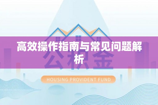 凌海高效操作指南与常见问题解析