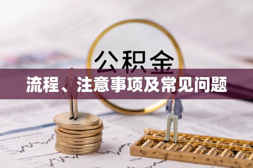 凌海流程、注意事项及常见问题