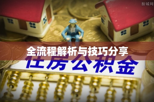 凌海全流程解析与技巧分享